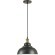 Подвесной светильник с 1 плафоном Lumion 3675/1 DARIO под лампу 1xE27 60W