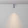 Maytoni C056CL-L12W2.7K-W-PT Накладной потолочный светодиодный спот цилиндр, теплого света, металл цвета брашированная платина, COB LED 12Вт 2700К 1050лм 50° CRI90 IP20 220V светодиоды Bridgelux, диммируемые при смене блока питания
