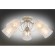 Потолочная люстра Orune OML-53007-05