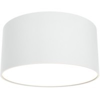 Настенно-потолочный светильник Maytoni C032CL-L12W3K Zon светодиодный LED 12W