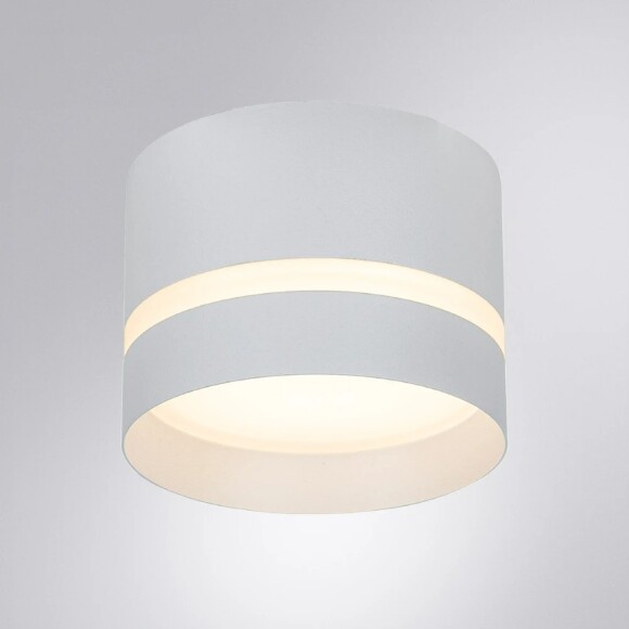 Точечный накладной светильник Arte Lamp IMAI A2265PL-1WH Точечный накладной светильник Arte Lamp IMAI A2265PL-1WH