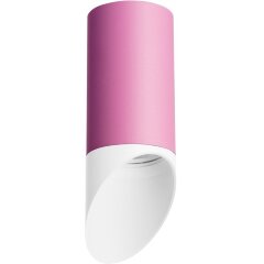 Накладной потолочный светильник Lightstar R43236 RULLO под лампу 1xGU10 50W Накладной потолочный светильник Lightstar R43236 RULLO под лампу 1xGU10 50W