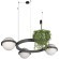 10121/3 Dark grey Подвесной светильник LOFT IT Jardin