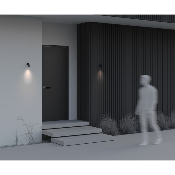 Настенный светильник (бра) Outdoor O477WL-L2GF3K Настенный светильник (бра) Outdoor O477WL-L2GF3K