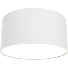 Потолочный светильник Technical C032CL-12W3K-RD-W