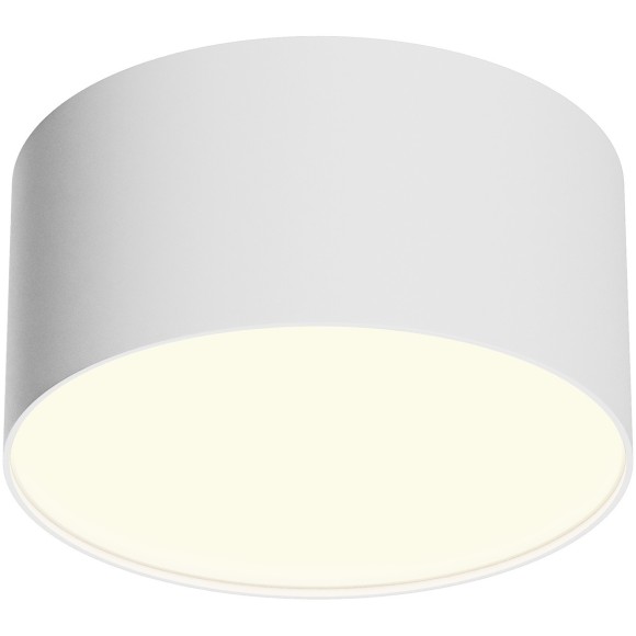 Потолочный светильник Technical C032CL-12W3K-RD-W