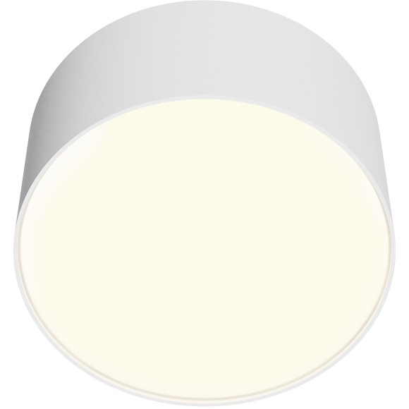 Потолочный светильник Technical C032CL-12W3K-RD-W