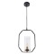 Подвесной светильник с 1 плафоном Arte Lamp A7004SP-1BK CELAENO под лампу 1xE14 60W