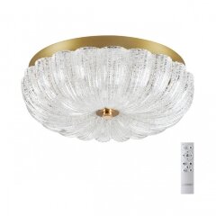 Потолочный светильник TESORO 7719/36L Потолочный светильник TESORO 7719/36L