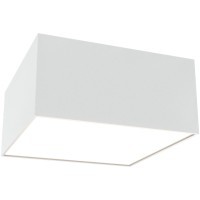 Потолочный светильник Technical C067CL-L12W4K