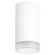 Накладной потолочный светильник Lightstar R43630 RULLO под лампу 1xGU10 50W