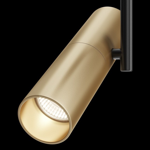 Накладной потолочный светильник Maytoni C020CL-01GB Elti под лампу 1xGU10 50W Накладной потолочный светильник Maytoni C020CL-01GB Elti под лампу 1xGU10 50W