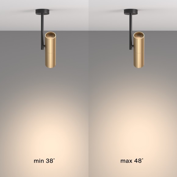 Накладной потолочный светильник Maytoni C020CL-01GB Elti под лампу 1xGU10 50W Накладной потолочный светильник Maytoni C020CL-01GB Elti под лампу 1xGU10 50W