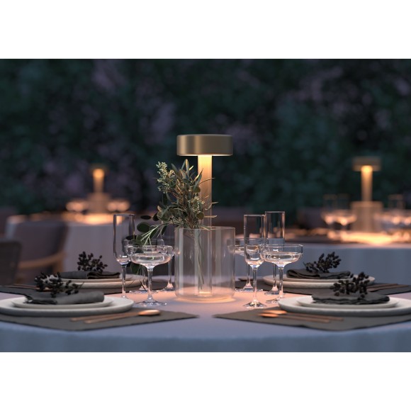 Аккумуляторный светильник Maytoni MOD229TL-L3G3K1 Аккумуляторный светильник Maytoni MOD229TL-L3G3K1