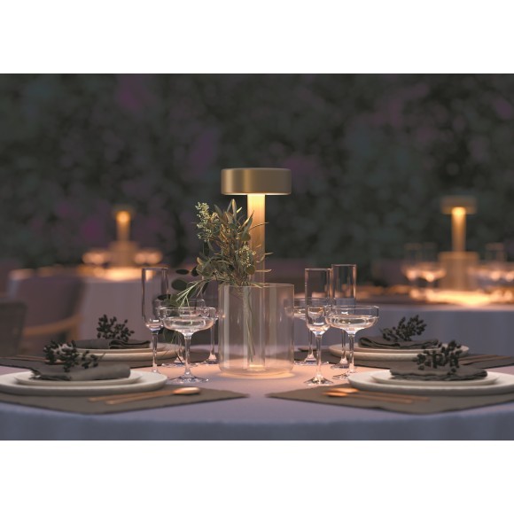 Аккумуляторный светильник Maytoni MOD229TL-L3G3K1 Аккумуляторный светильник Maytoni MOD229TL-L3G3K1