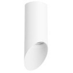 Накладной потолочный светильник Lightstar R43636 RULLO под лампу 1xGU10 50W