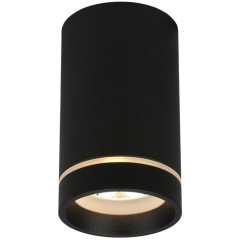 Потолочный спот APL.0053.19.10