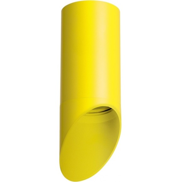 Накладной потолочный светильник Lightstar R43333 RULLO под лампу 1xGU10 50W Накладной потолочный светильник Lightstar R43333 RULLO под лампу 1xGU10 50W