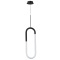 Подвесной светильник Arte lamp LUMINO A2233SP-20BK