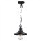 Уличный подвесной светильник Odeon Light 4965/1 CAMPA IP44 под лампу 1xE27 1*60W