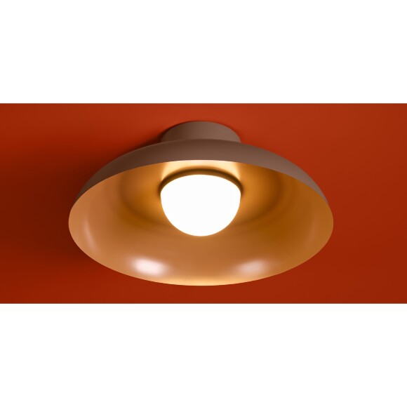 Потолочный светильник Freya FR5602CL-L10BR Потолочный светильник Freya FR5602CL-L10BR