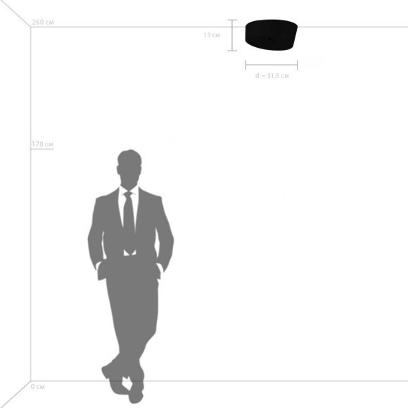 Люстра потолочная Celesta Lightstar 809356