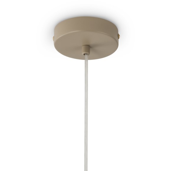 Подвесной светильник Freya FR2057PL-01BG