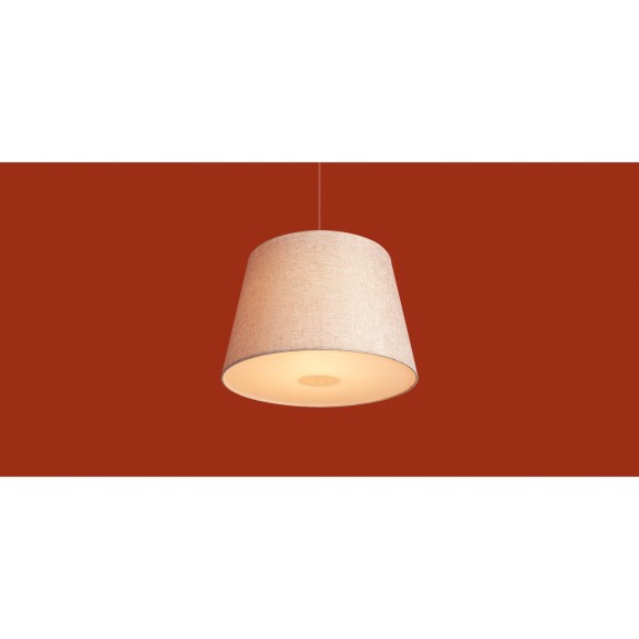 Подвесной светильник Freya FR2057PL-01BG