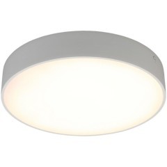 Светильник настенно-потолочный APL.0113.09.24 Светильник настенно-потолочный APL.0113.09.24