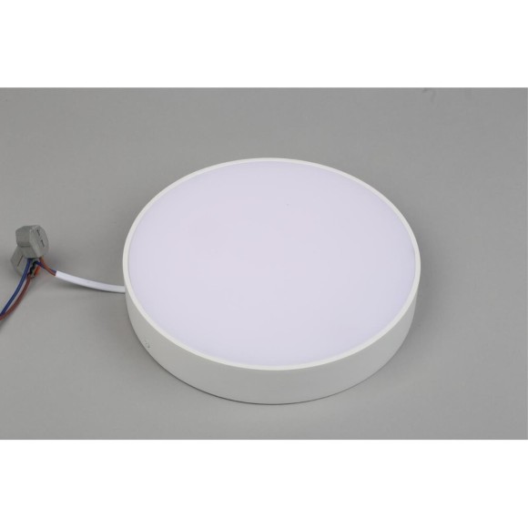 Светильник настенно-потолочный APL.0113.09.24