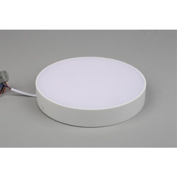 Светильник настенно-потолочный APL.0113.09.24