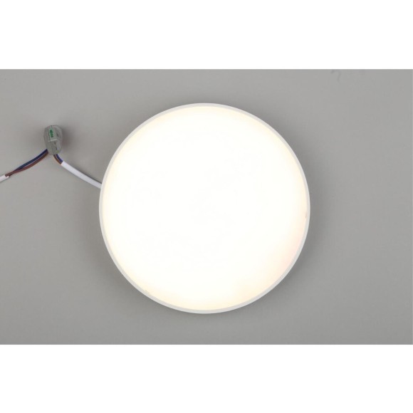 Светильник настенно-потолочный APL.0113.09.24