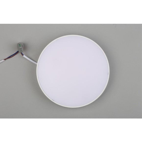 Светильник настенно-потолочный APL.0113.09.24