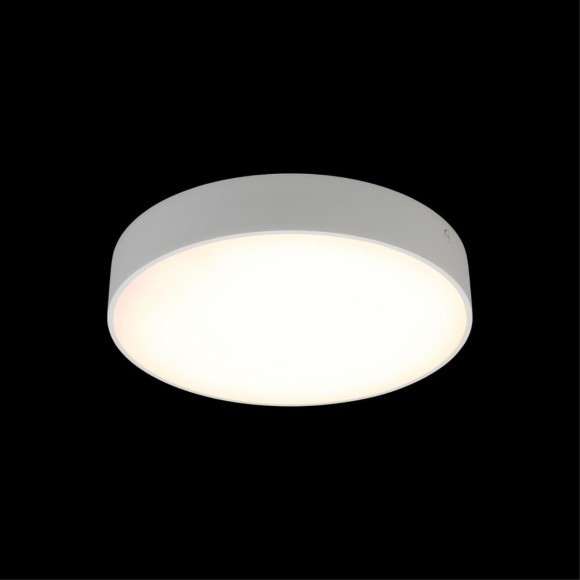 Светильник настенно-потолочный APL.0113.09.24