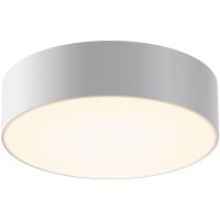 Потолочный светильник Outdoor O431CL-L30W3K