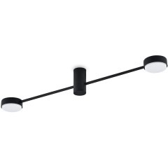 Потолочный светильник Freya FR5363CL-02B1 Потолочный светильник Freya FR5363CL-02B1