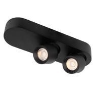 10320/2 Black Накладной светильник LOFT IT Quiet 10320/2 Black Накладной светильник LOFT IT Quiet