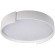 10200 White Потолочный светильник LOFT IT Coin 10200 White Потолочный светильник LOFT IT Coin