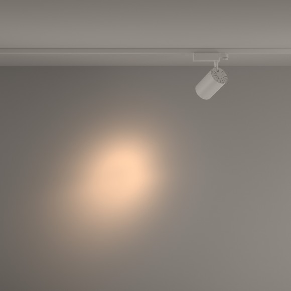 Трековый светильник трехфазный 220V светодиодный Vuoro TR029-3-26W3K-S-W