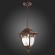 SL083.703.01 Светильник уличный подвесной ST-Luce Кофейный/Кофейный, Прозрачный E27 1*60W CHIANI