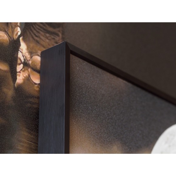 Декоративная картина FP Elephant 50-70