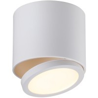 Спот Canicatt OML-20501-01