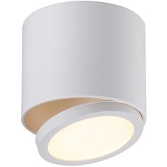 Спот Canicatt OML-20501-01