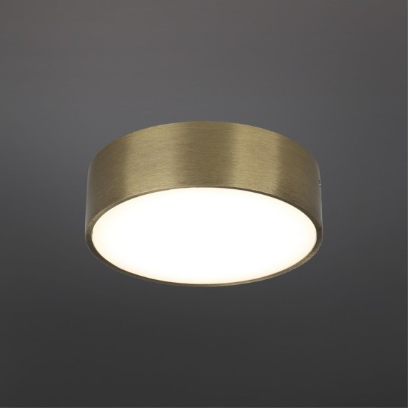 Светильник настенно-потолочный APL.0114.29.12