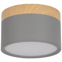 10162 Grey Накладной светильник LOFT IT Grape 10162 Grey Накладной светильник LOFT IT Grape