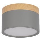 10162 Grey Накладной светильник LOFT IT Grape