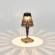 SL1010.734.01 Прикроватная лампа ST-Luce Дымчато-серый/Дымчато-серый LED 1*2W 3000K/4000K/6000K SPARKLE