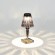 SL1010.734.01 Прикроватная лампа ST-Luce Дымчато-серый/Дымчато-серый LED 1*2W 3000K/4000K/6000K SPARKLE