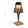 SL1010.734.01 Прикроватная лампа ST-Luce Дымчато-серый/Дымчато-серый LED 1*2W 3000K/4000K/6000K SPARKLE