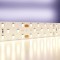 Светодиодная лента Maytoni Led strip 20031